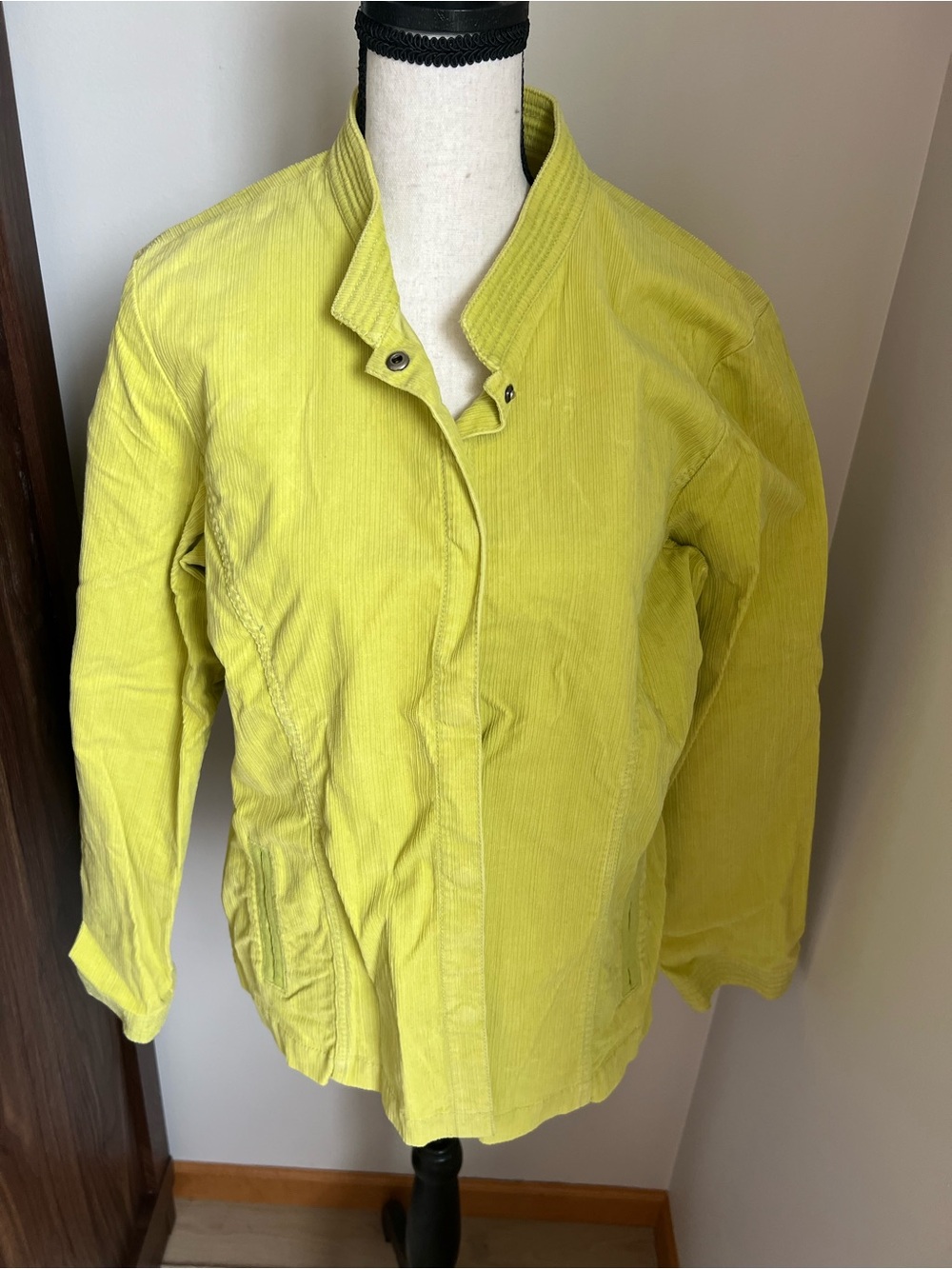 Eileen Fisher jacket 🍋‍🟩